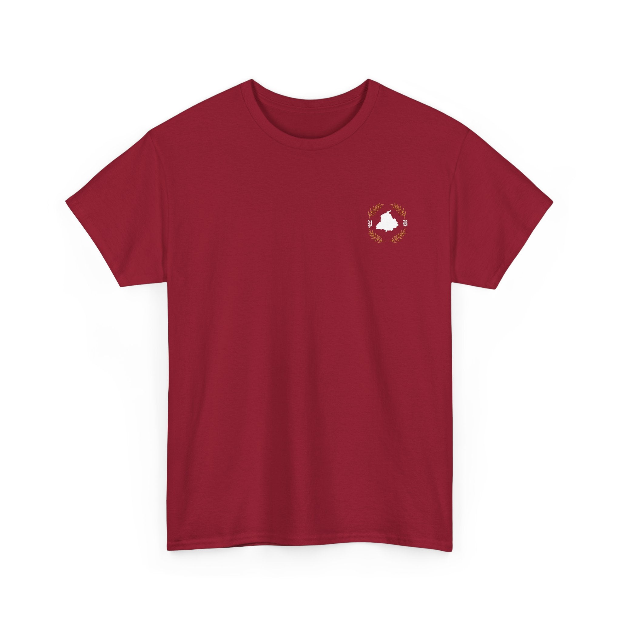Vasda Punjab T-Shirt