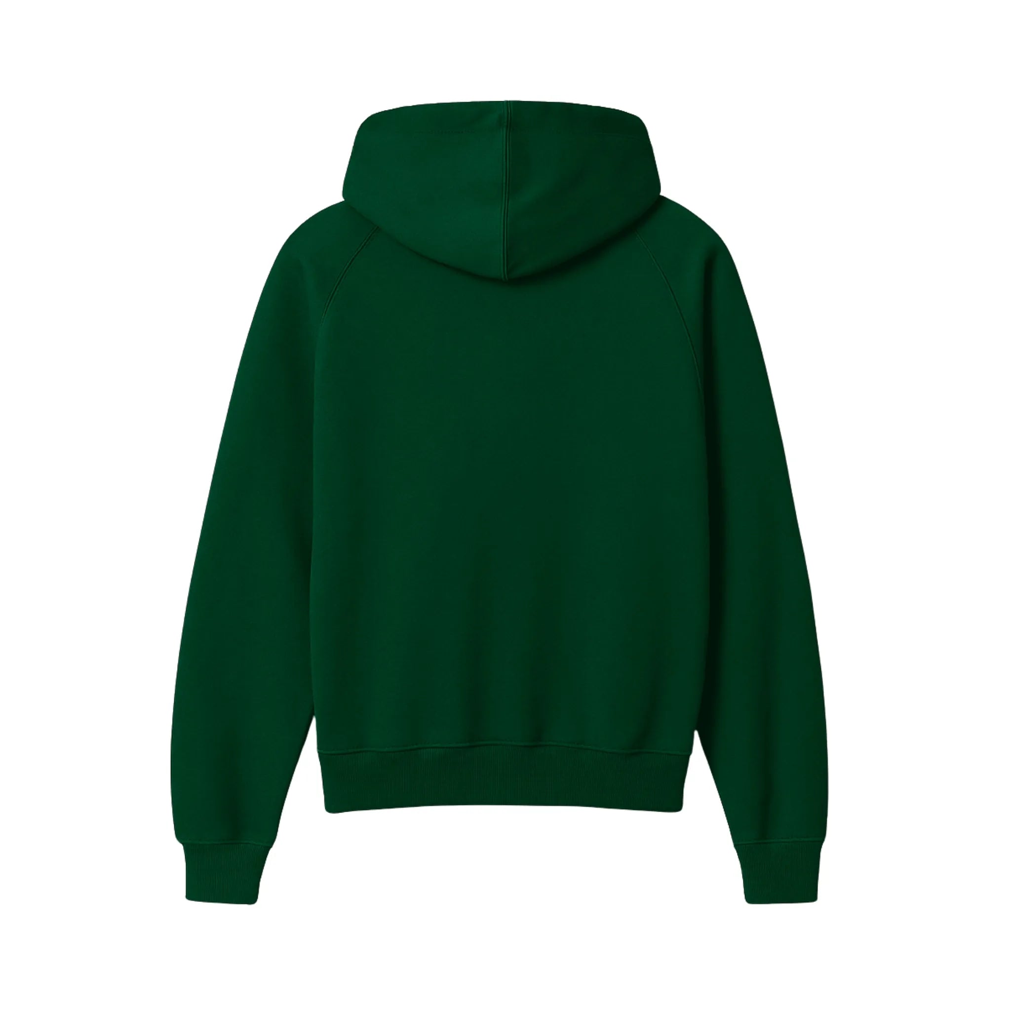 Sikh Essentials Hoodie