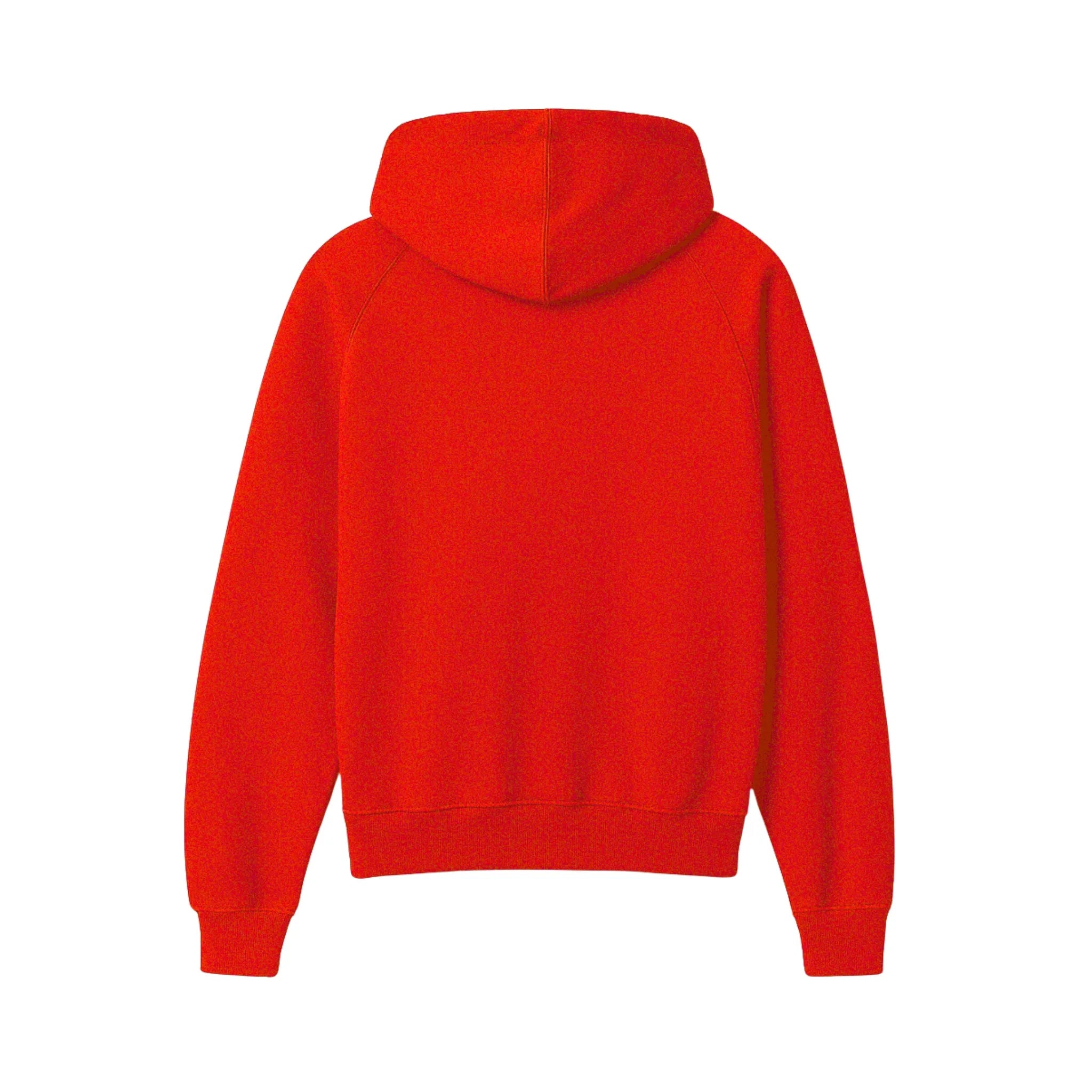 Sikh Essentials Hoodie