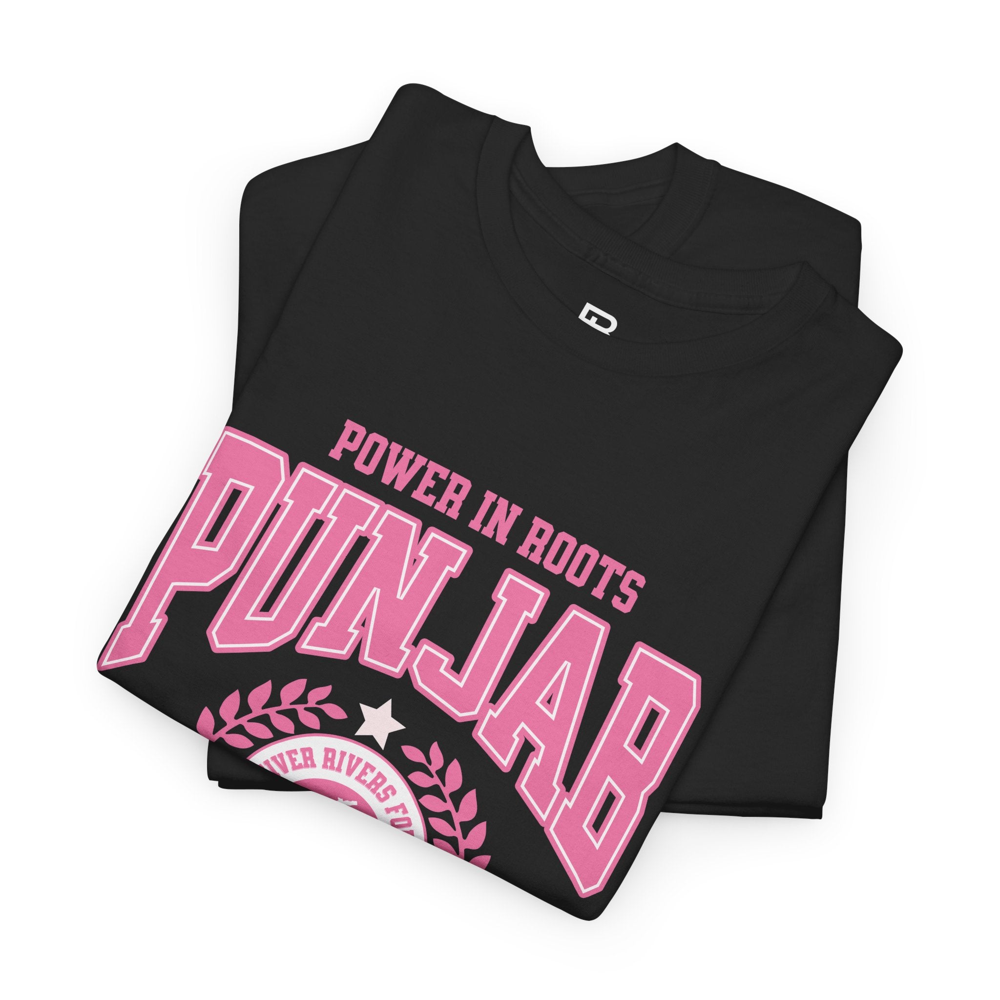 Noor Punjab T-Shirt