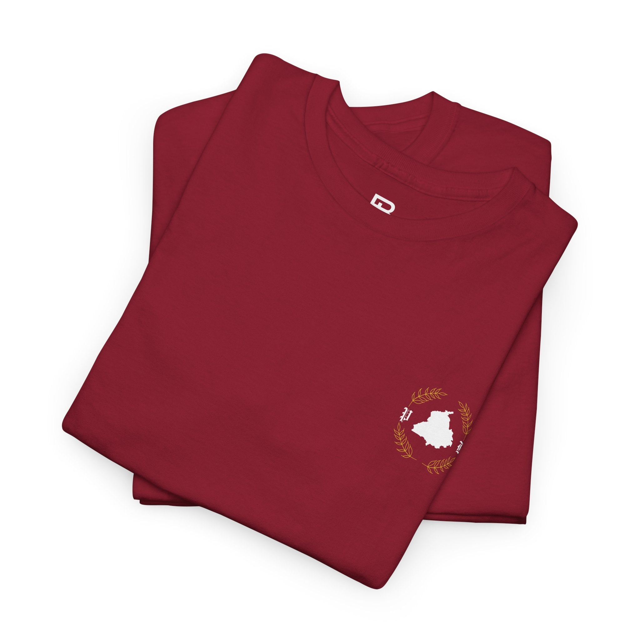 Vasda Punjab T-Shirt