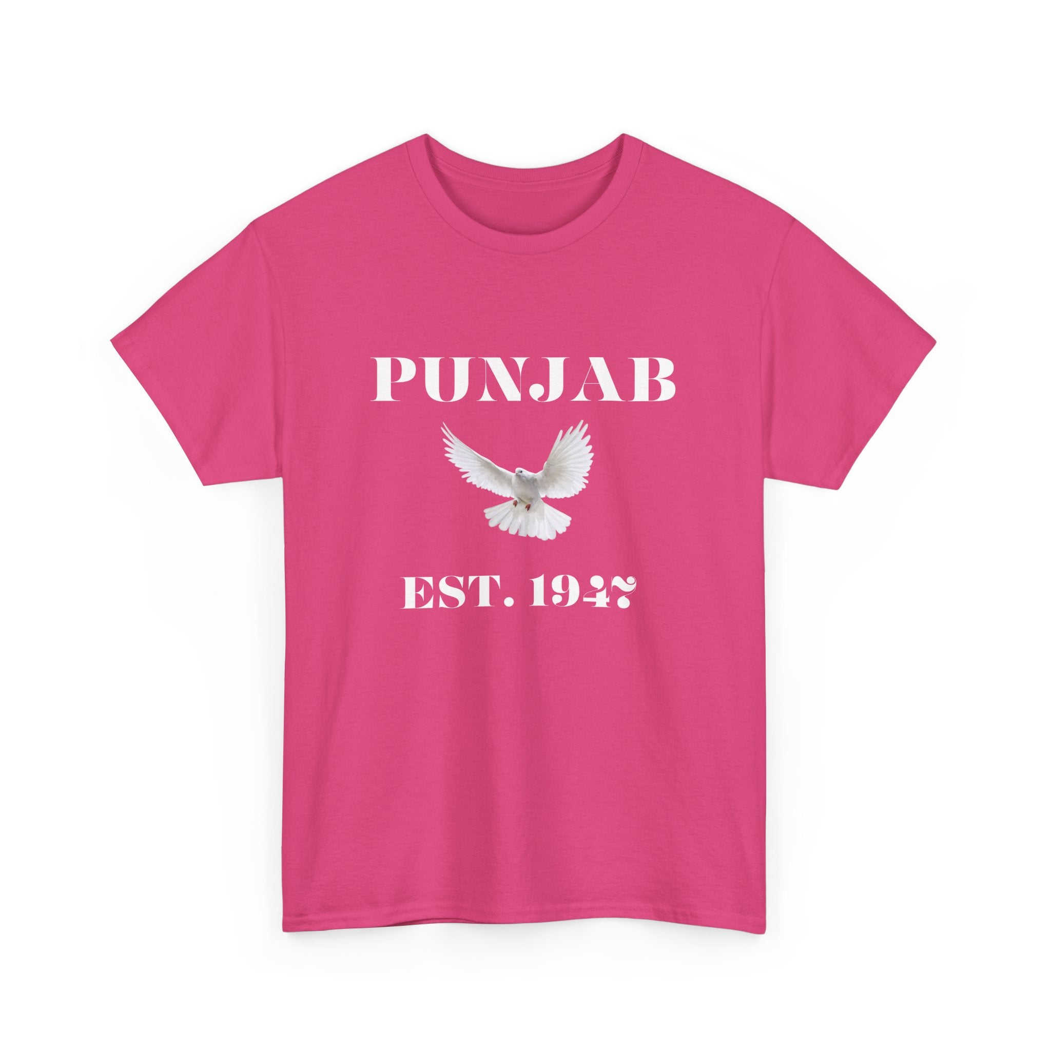 EST. 1947 T-Shirt