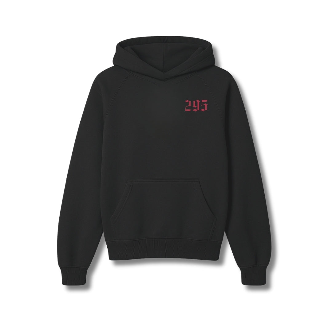 295 Hoodie
