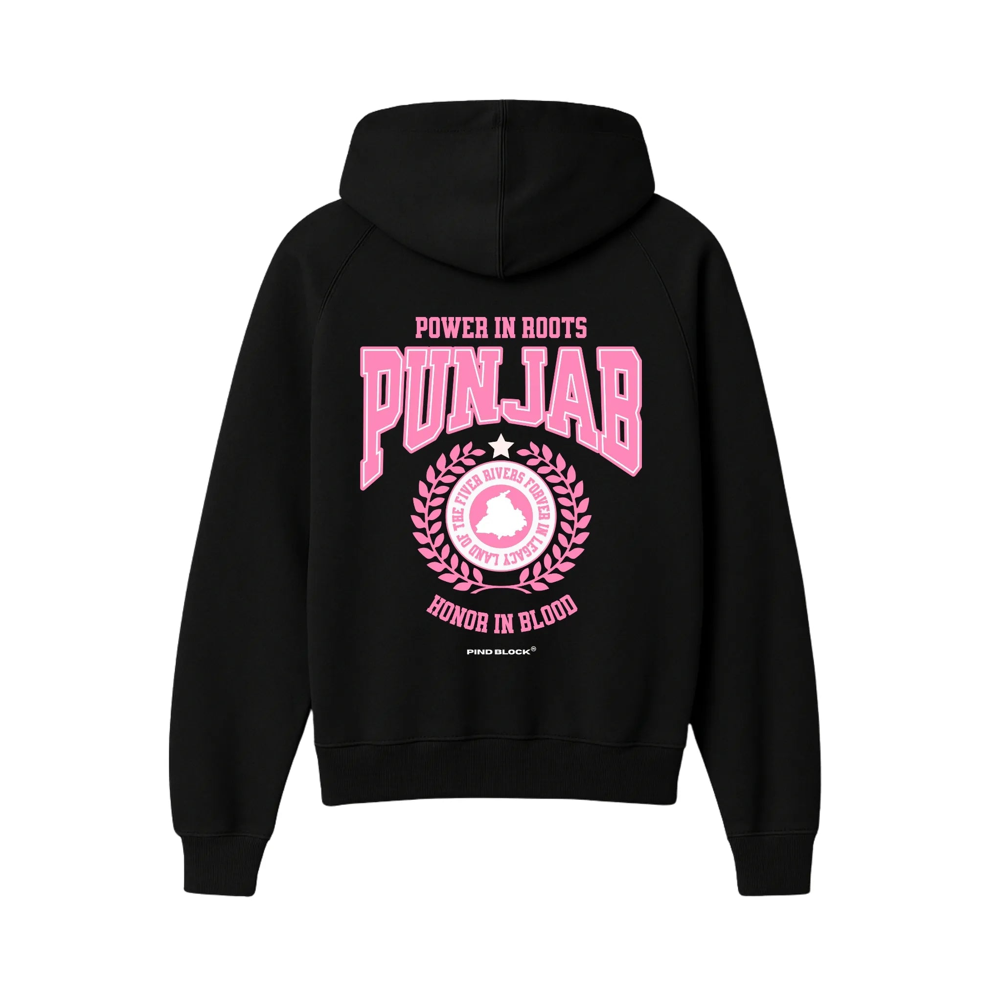 Noor Punjab Hoodie