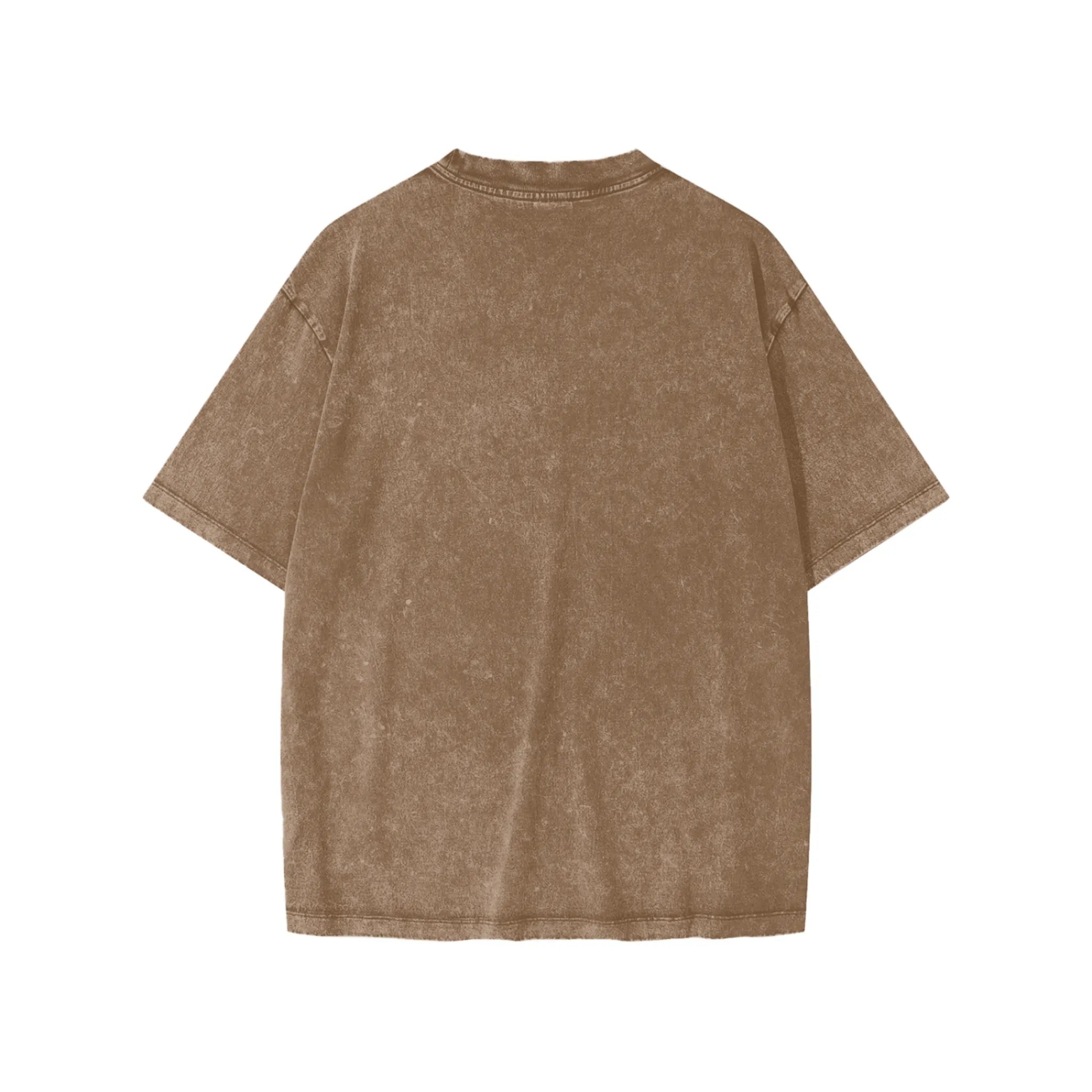 Panjab Snow Wash Tee