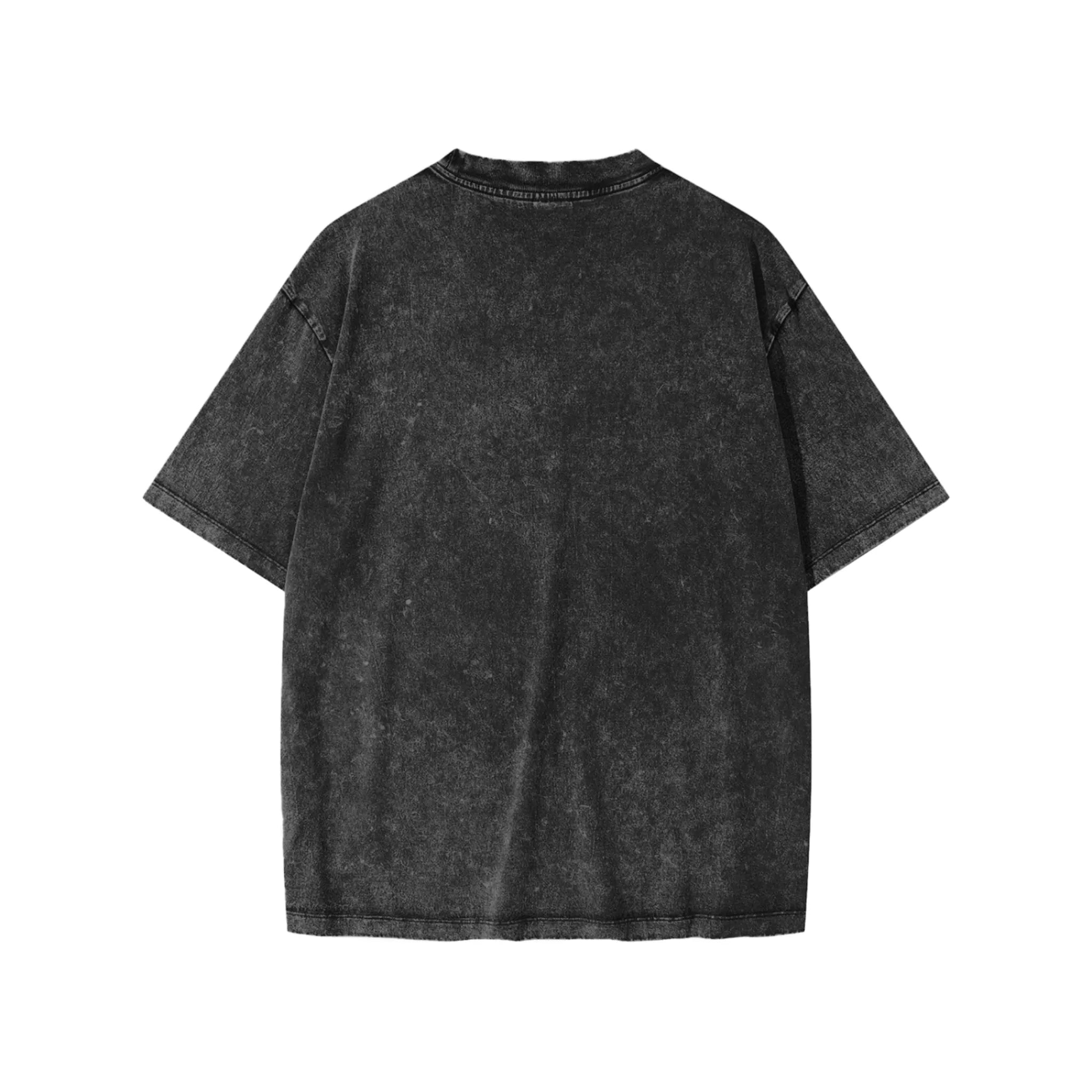 Panjab Snow Wash Tee