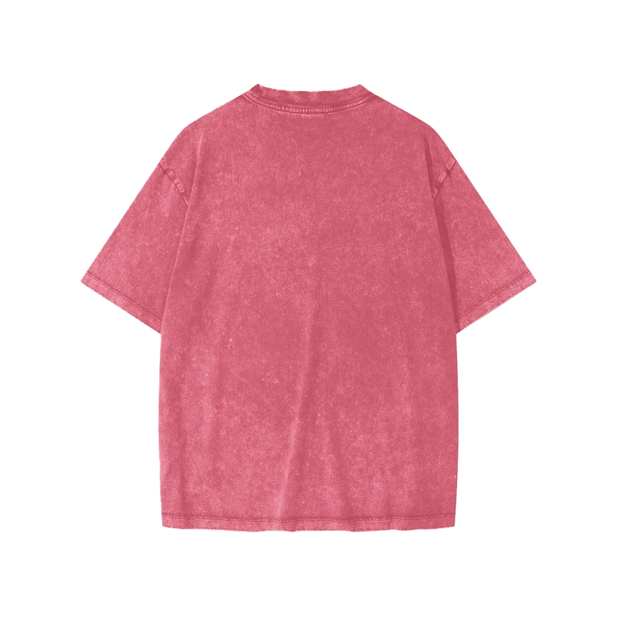 Panjab Snow Wash Tee