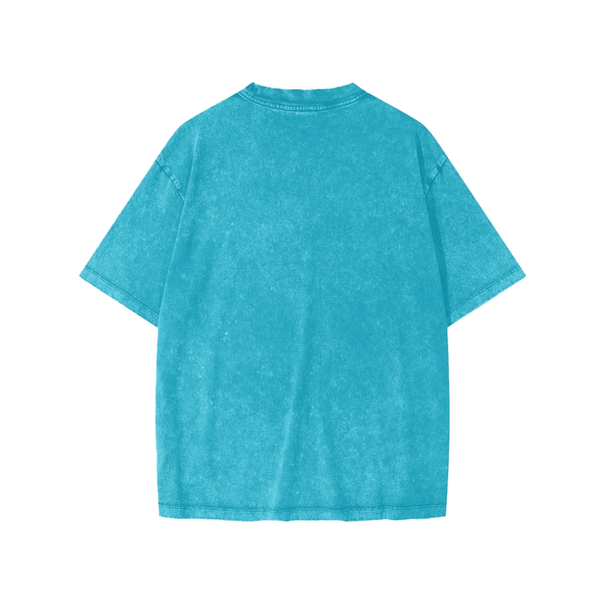 Panjab Snow Wash Tee