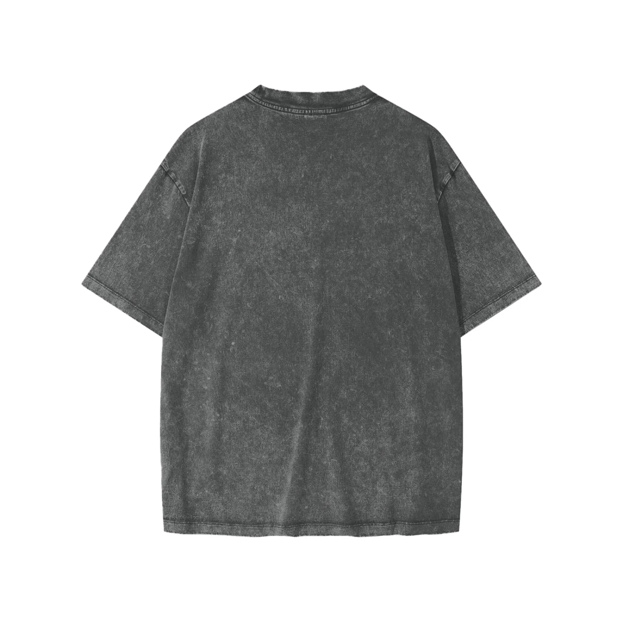 Panjab Snow Wash Tee