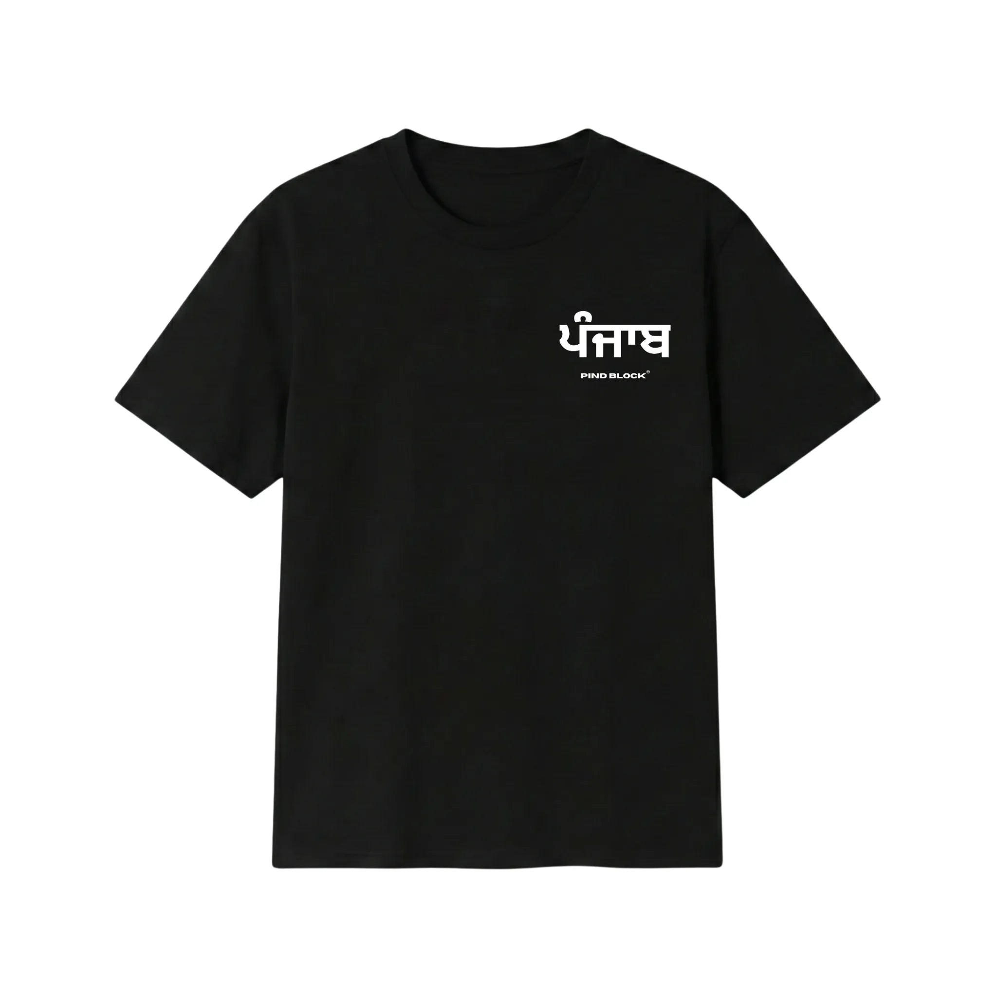 Punjabi Essentials T-Shirt