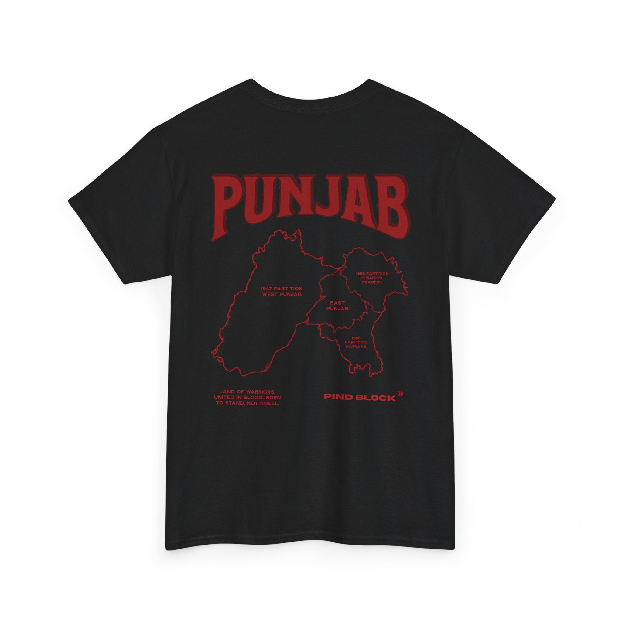 Punjab T-Shirt