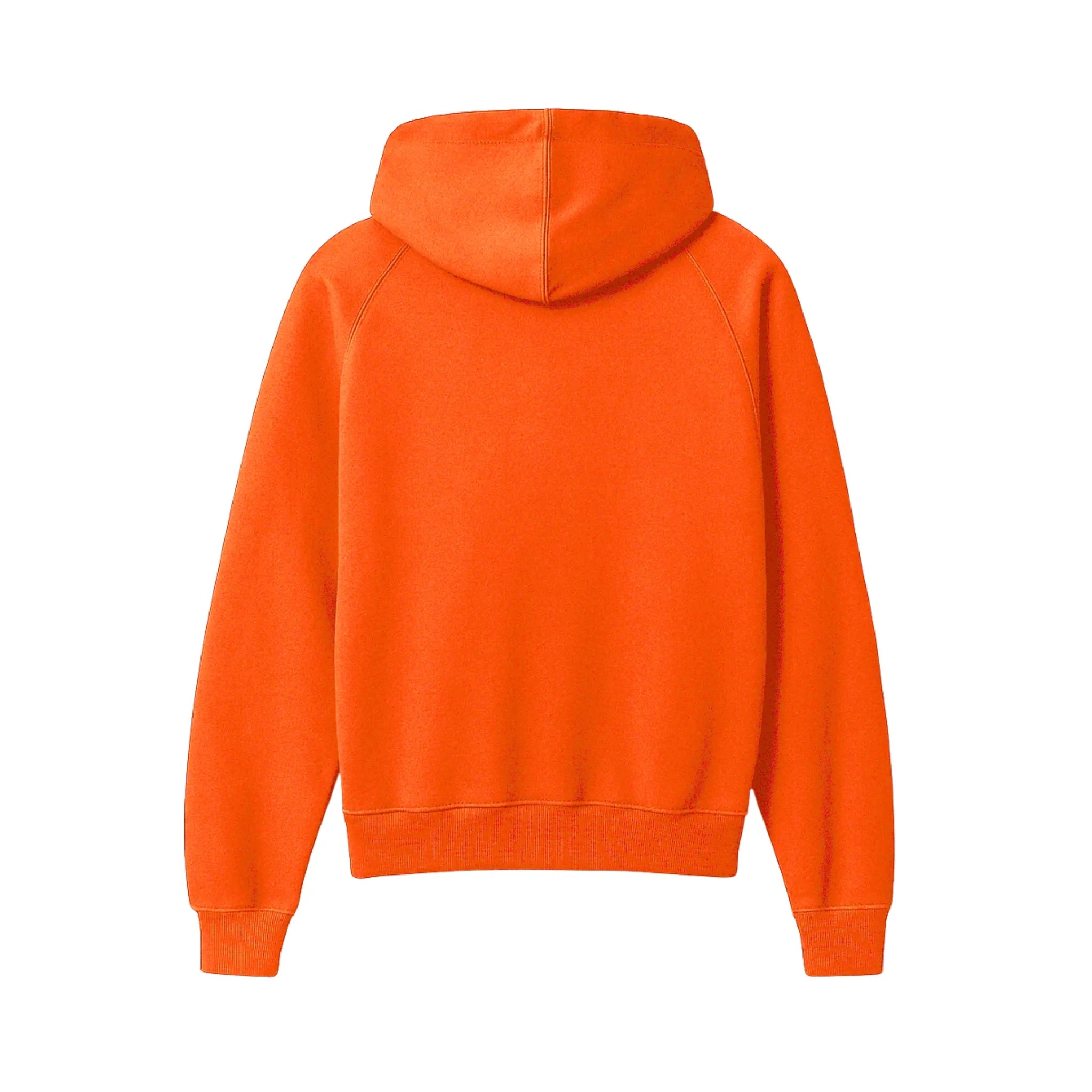 Sikh Essentials Hoodie