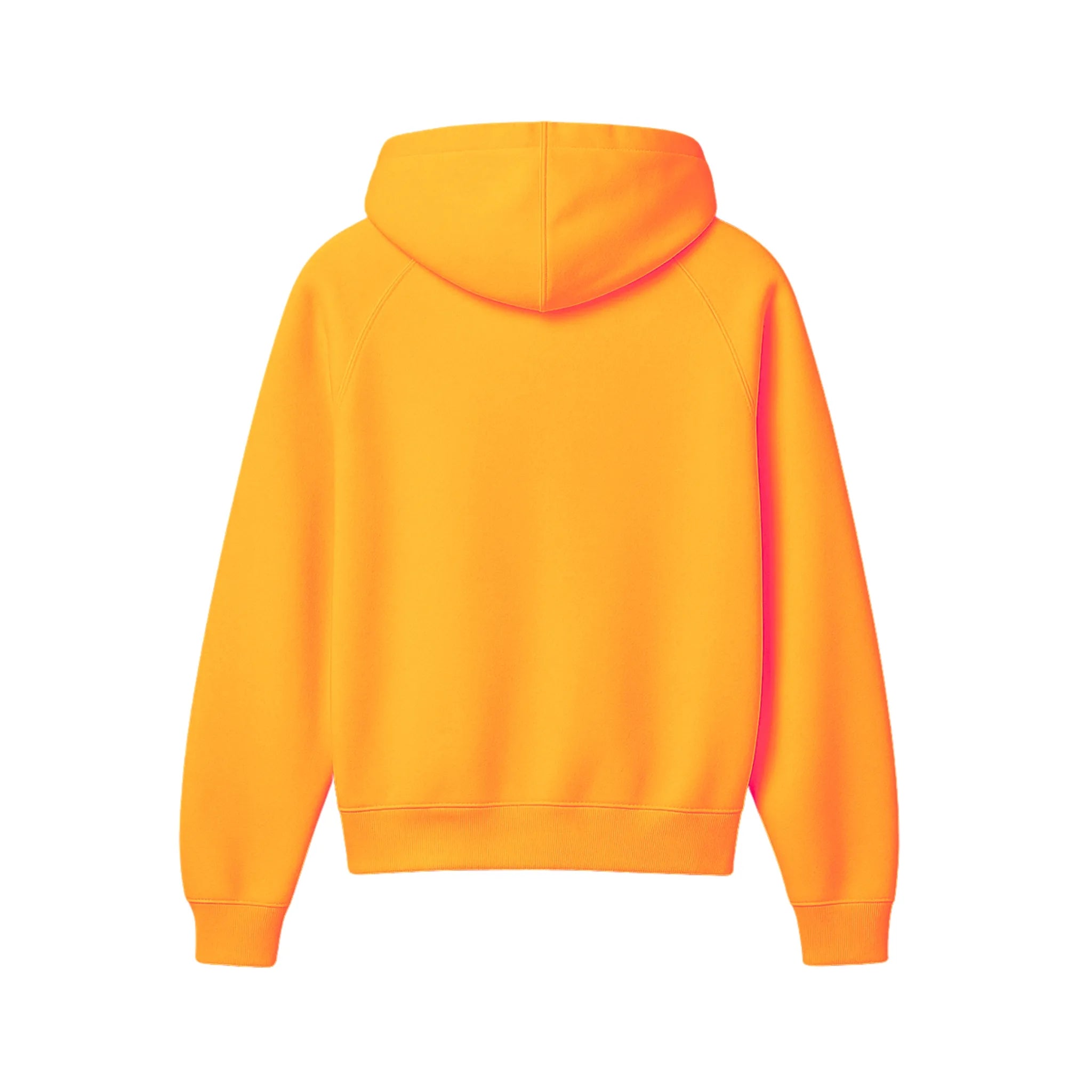 Sikh Essentials Hoodie
