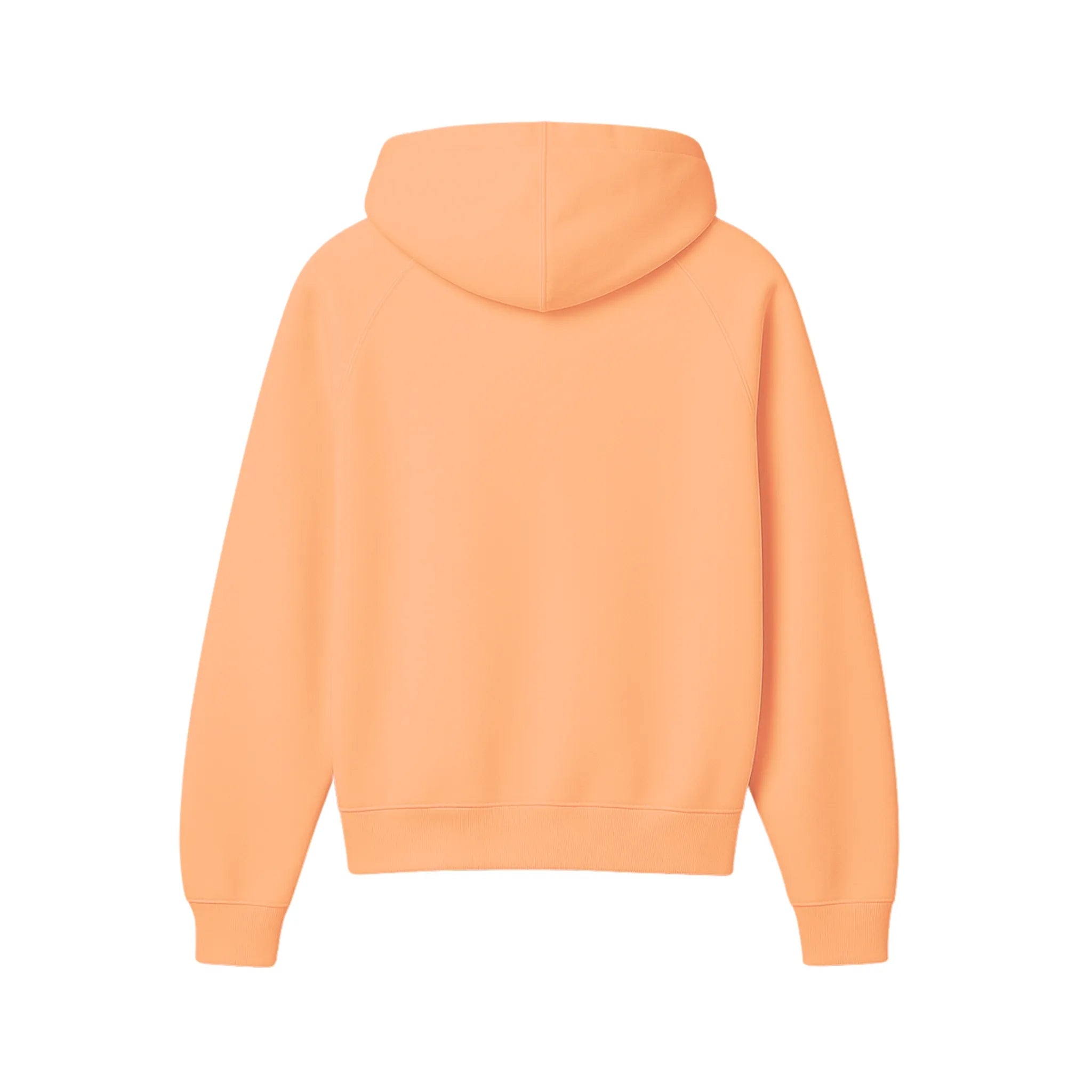 Sikh Essentials Hoodie