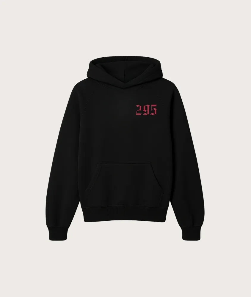 295 Hoodie
