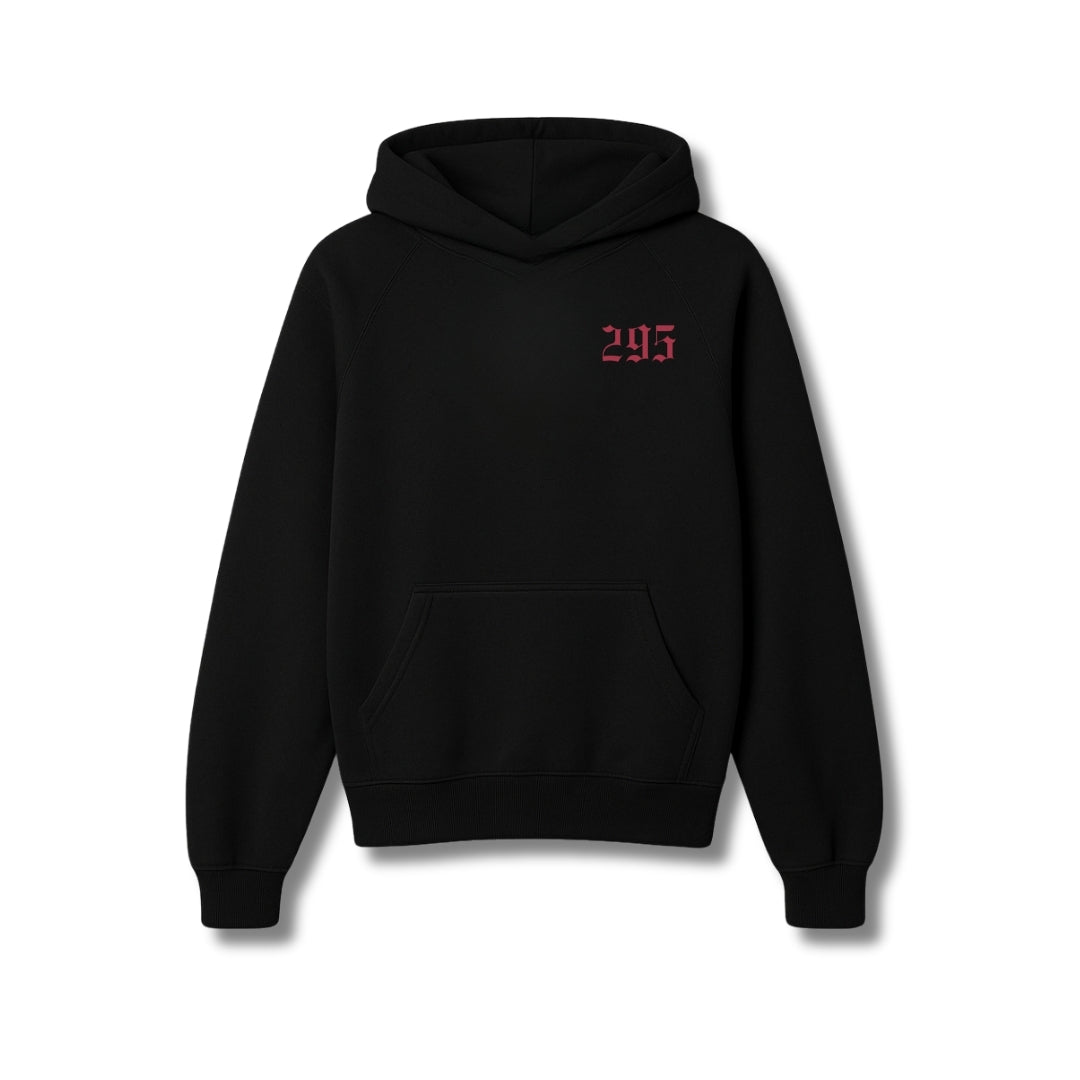295 Hoodie