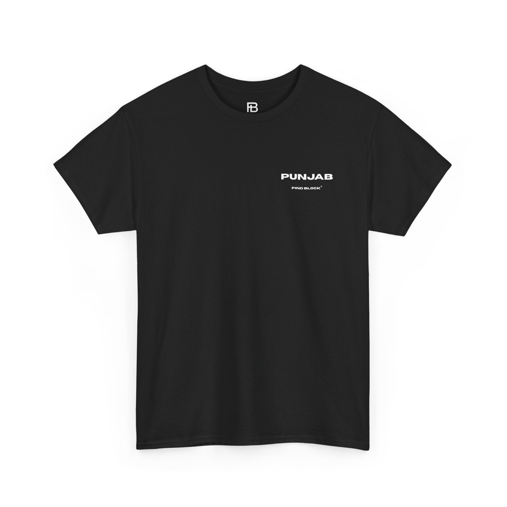 Punjab Essentials T-Shirt