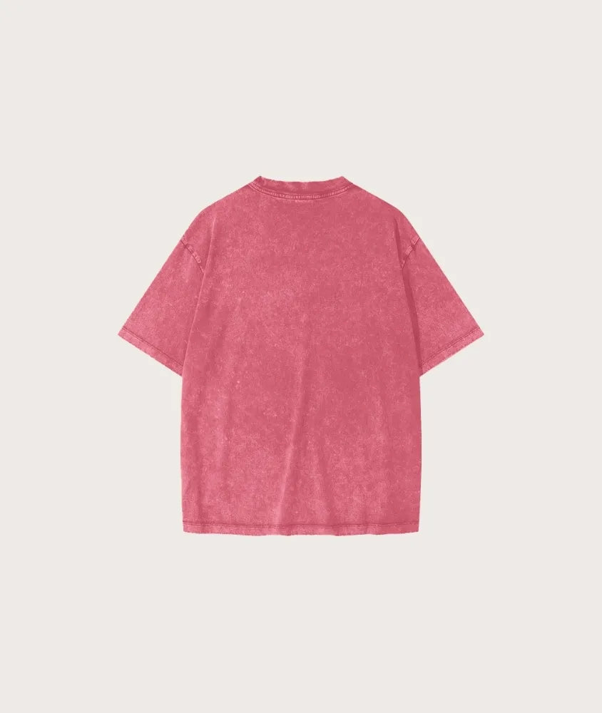Panjab Snow Wash Tee