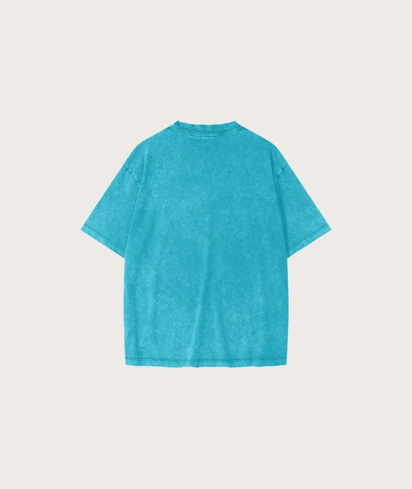 Panjab Snow Wash Tee