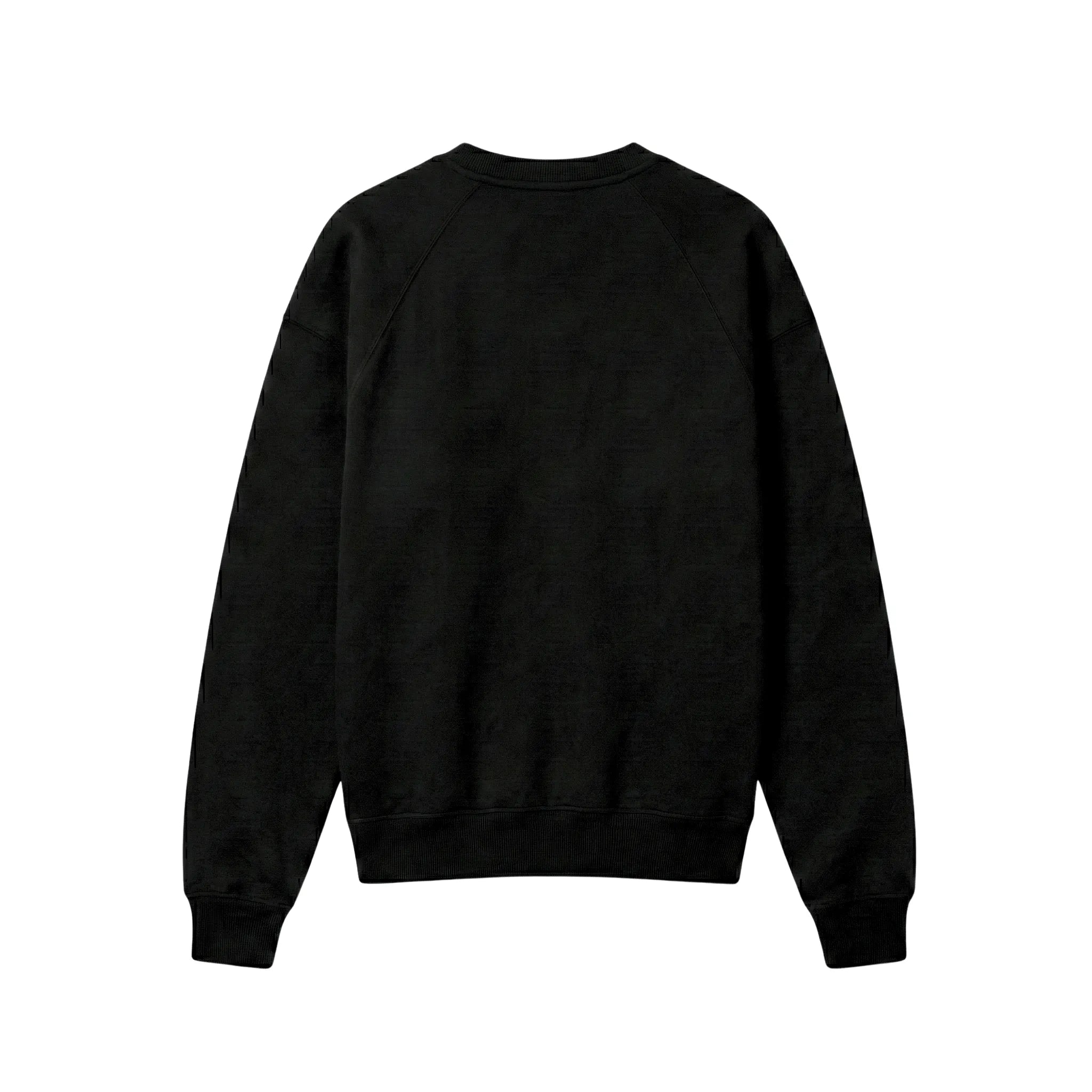 Nirbhau Nirvair Sweatshirt