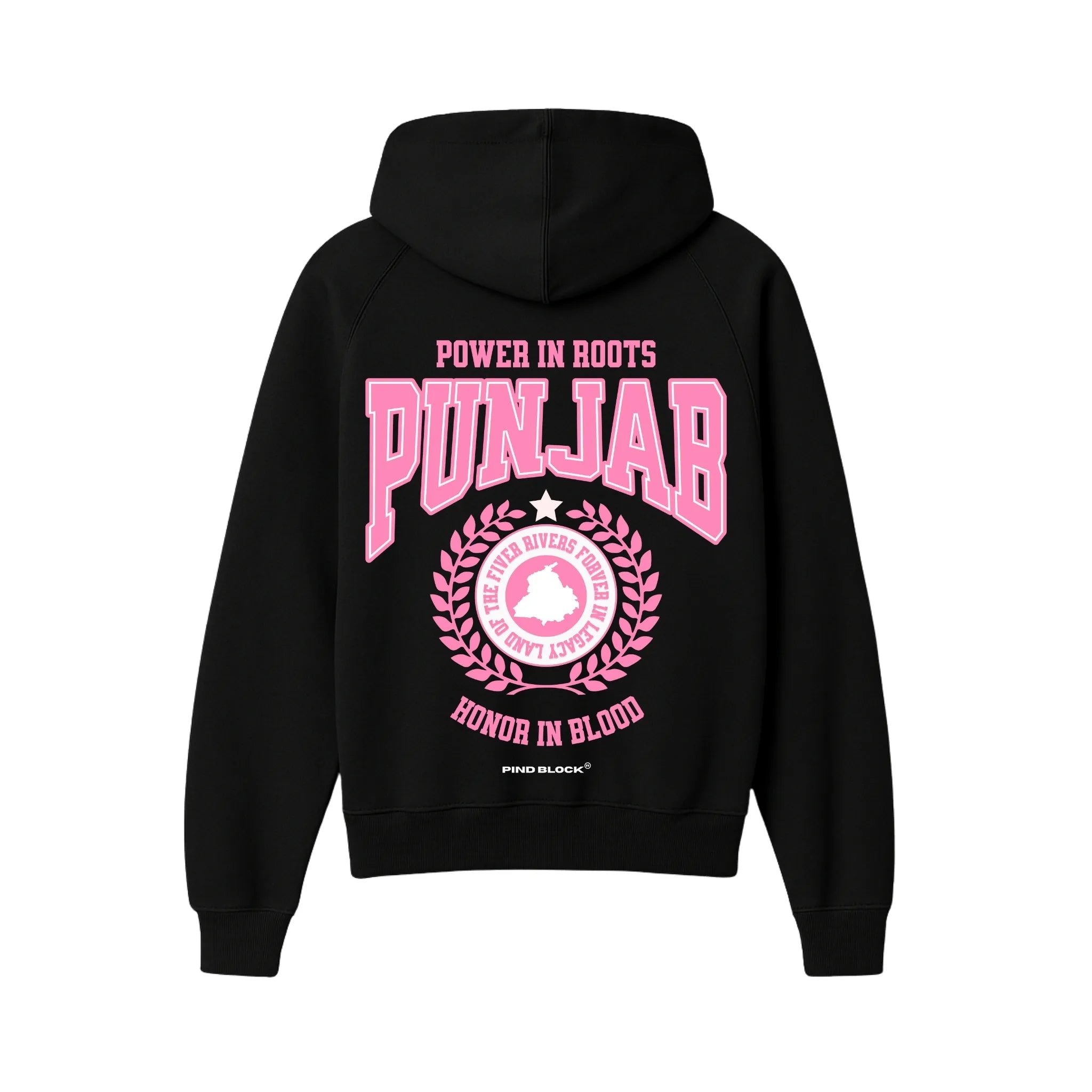 Noor Punjab Hoodie