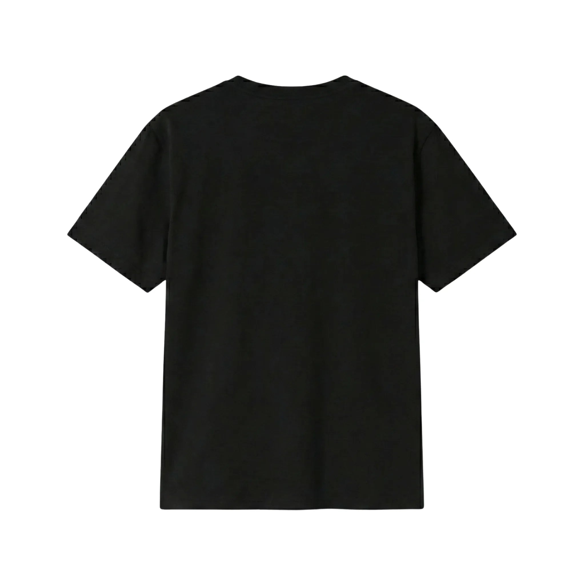 Punjab Essentials T-Shirt